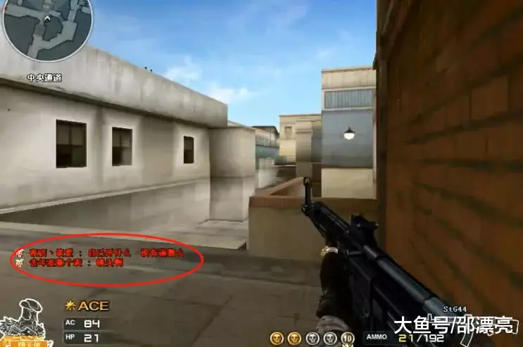 Rex Regum Qeon 在 VCT 2025： Pacific Stage 2 的最后比赛中将不会以完整阵容参赛